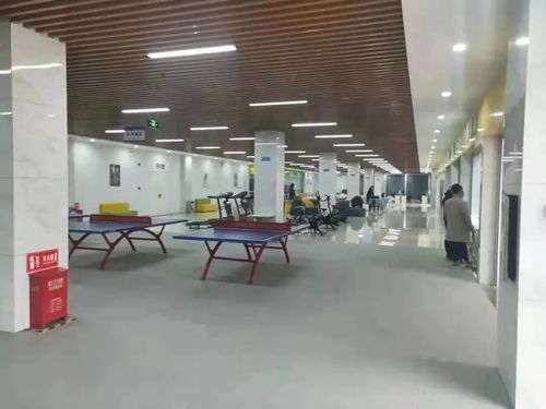 滁州大型电子厂环境与工价现状解析